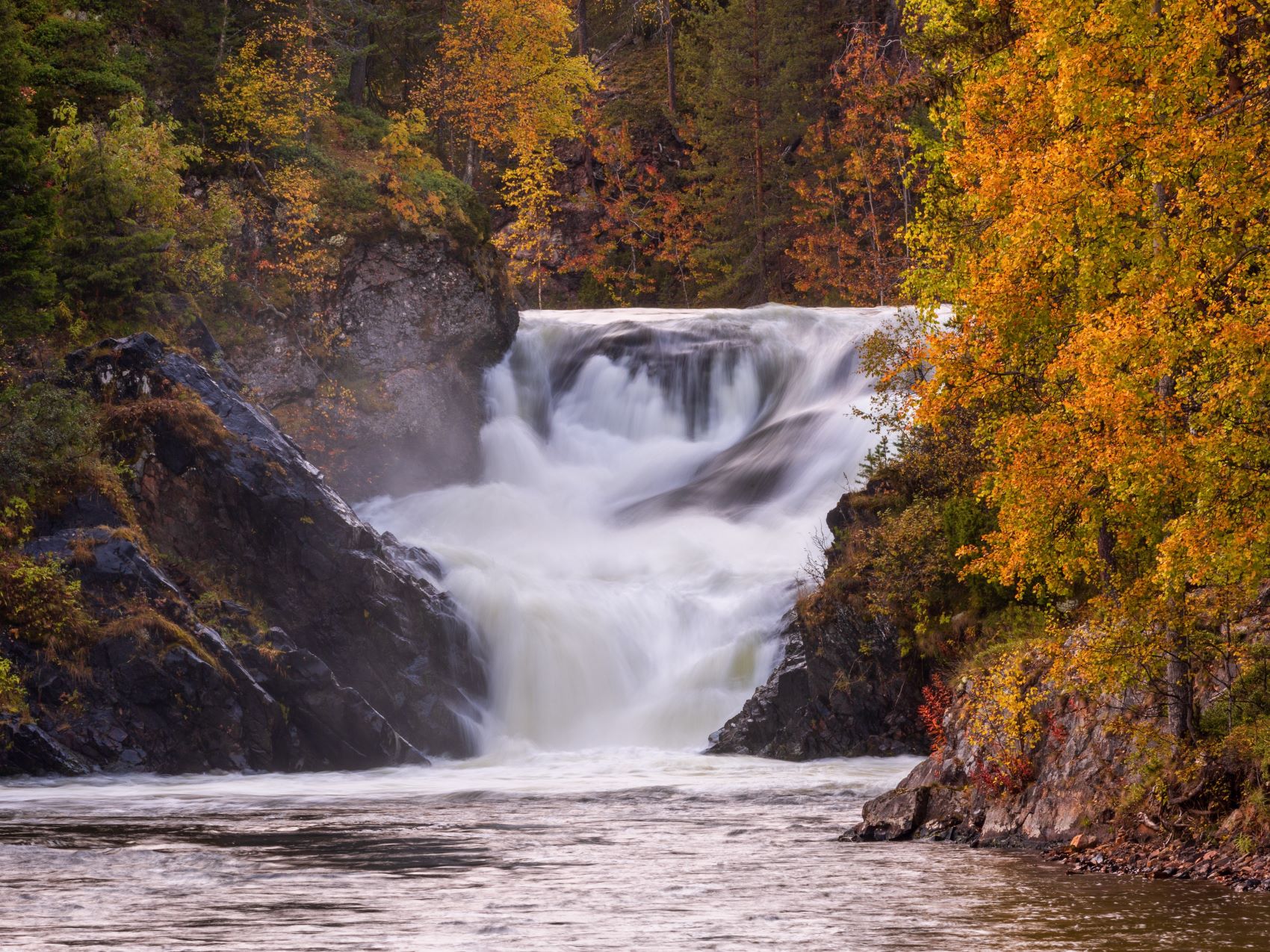 kuusamo wild nature oulanka koski